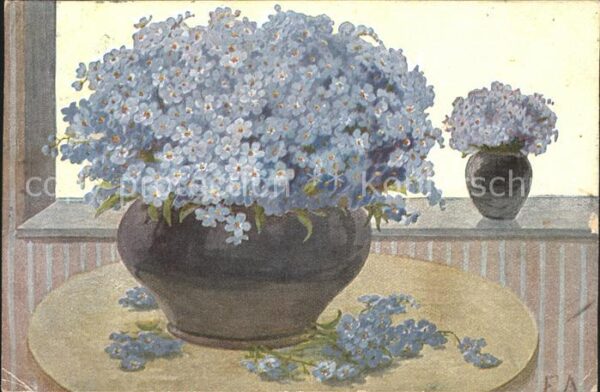 Blumen Vergissmeinnicht Vase