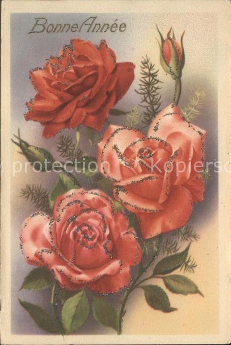 Neujahr Rosen