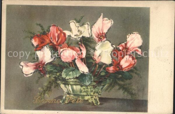 Blumen Alpenveilchen Bonne Fete