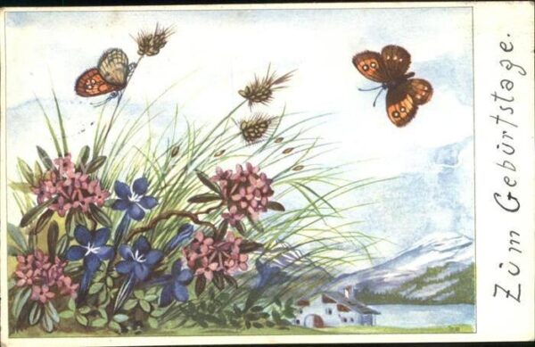 Schmetterlinge Blumen