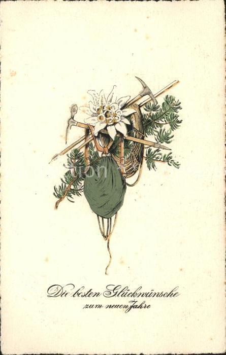 Edelweiss Alpinismus Neujahr Rucksack Bergpickel