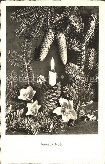 Tannenzapfen Kerze Christrose Schneerose Weihnachten