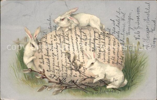 Hasen Weidenkätzchen Ei Litho