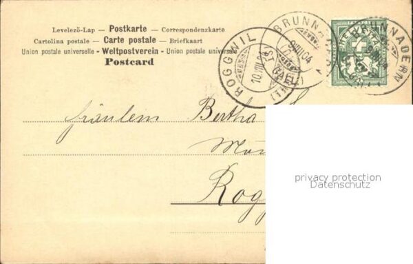 Foto NPG Nr. 177/8 Frau Schiessbogen – Bild 2