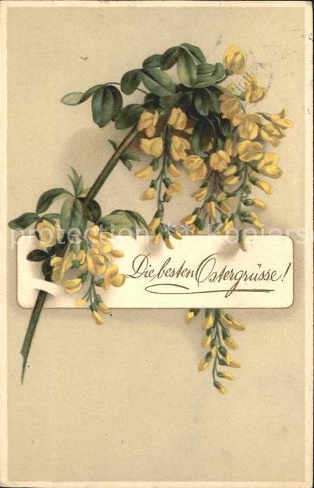 Ostern Easter Paques Schlüsselblumen Litho