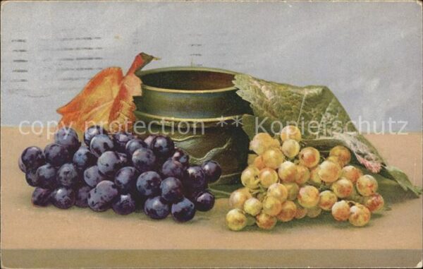 Obst Trauben Weinblätter