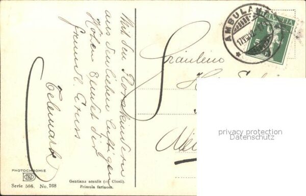 Verlag Photochromie Nr. 768 Serie 505 Enzian Mehlprimel – Bild 2