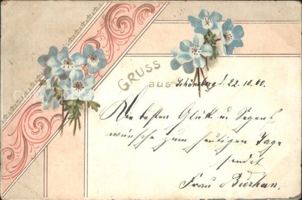 Blumen Vergissmeinnicht Litho