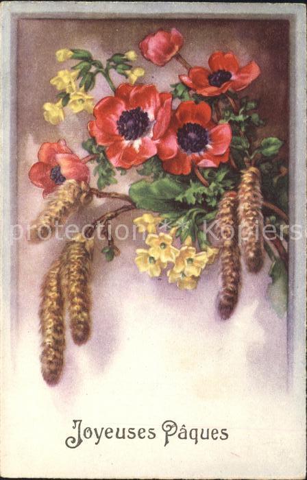 Ostern Easter Paques Anemonen Weidenkätzchen Schlüsselblumen