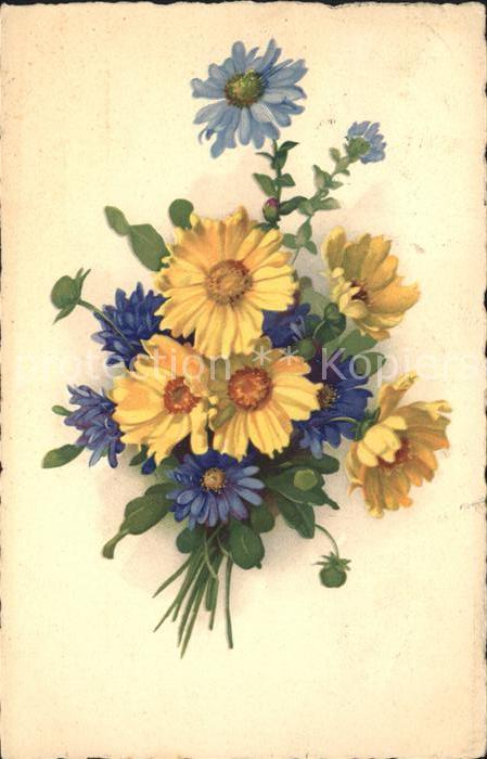 Blumen Margeriten