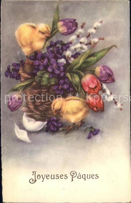 Ostern Easter Paques Küken Veilchen Weidenkätzchen Tulpen