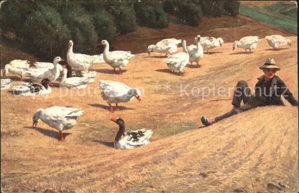 Kuenstlerkarte Hans Schmidt Im Hochsommer Gänse