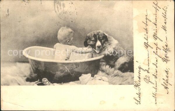 Hunde Kind Wanne baden