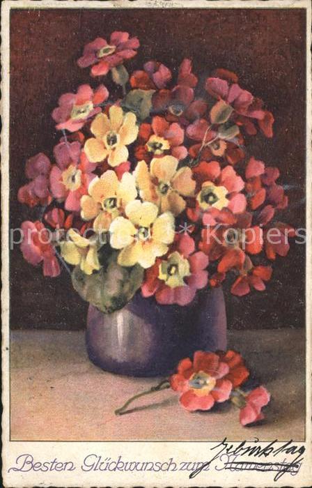 Blumen Primel Glückwunsch