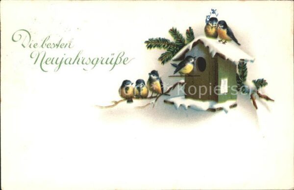 Voegel Blaumeisen Vogelhaus Neujahr Litho