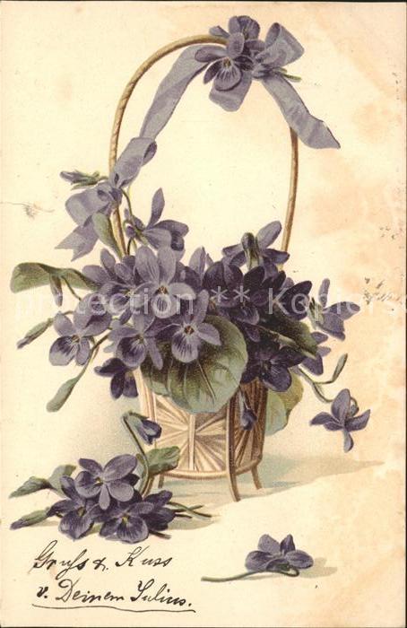 Blumen Veilchen Korb Litho