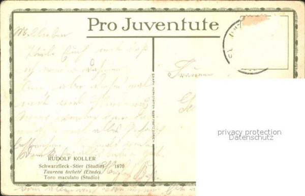 Koller Rudolf Schwarzfleck-Stier Toro maculato – Bild 2