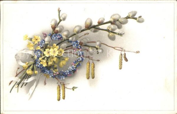 Ostern Easter Paques Schlüsselblumen Weidenkätzchen Hasel Li