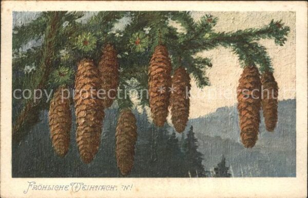 Tannenzapfen Weihnachten
