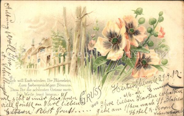 Blumen Anemonen Gedicht Litho