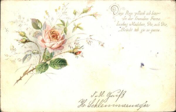 Rosen Gedicht Litho