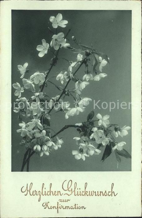 Konfirmation Glückwunsch Blumen Foto-HB-Nr. 5546