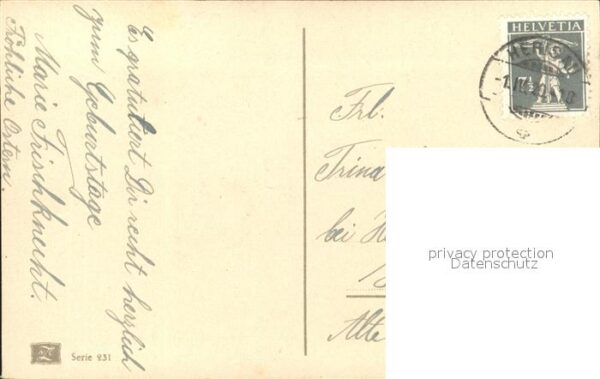 Rosen – Bild 2