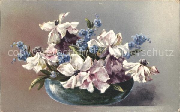 Blumen Anemonen Vergissmeinnicht Vase