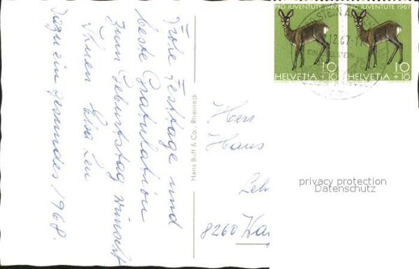 Neujahr Reh Wald Sterne – Bild 2