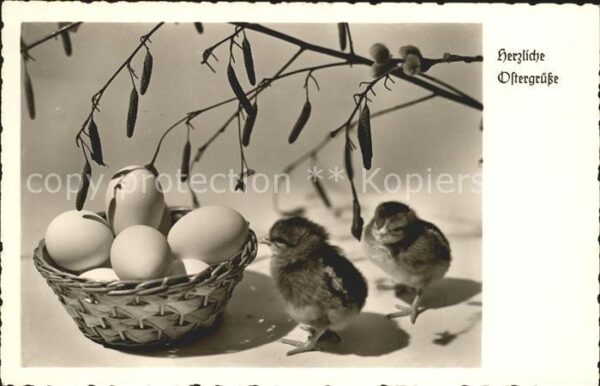 Foto Amag Nr. 69917 Küken Eier Weidenkätzchen