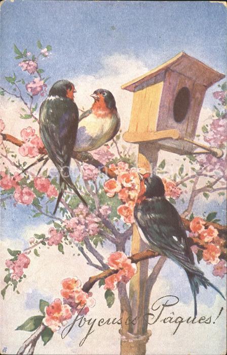 Voegel Schwalben Vogelhaus Baum Blüten Ostern