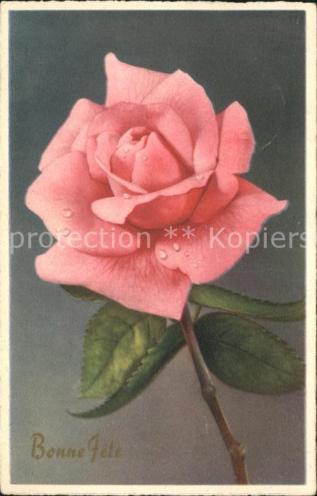 Rosen Bonne Fete Verlag-HB-Nr. 4199