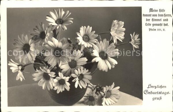 Geburtstag Margeriten Psalm