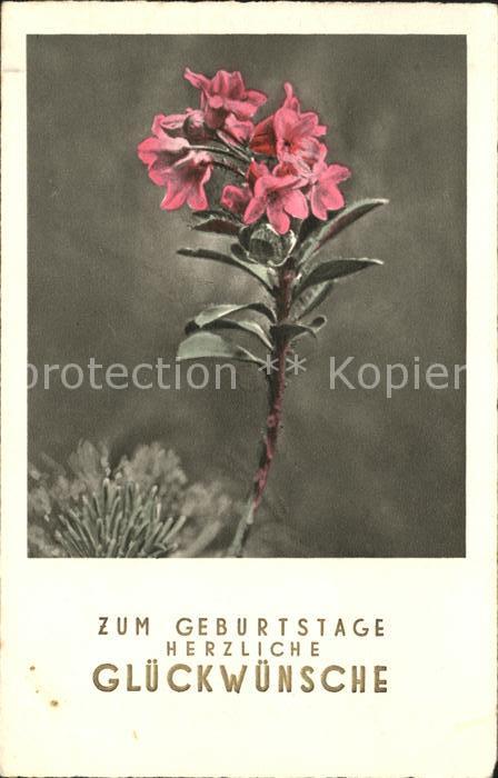 Geburtstag Glückwunsch Blume