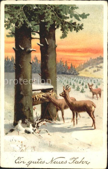 Neujahr Rehe Futterkrippe