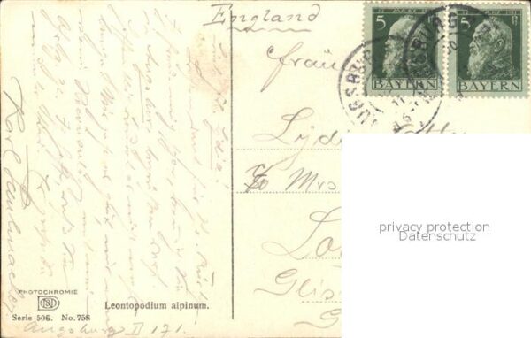 Verlag Photochromie Nr. 758 Serie 506 Edelweiss Leontopodium al – Bild 2