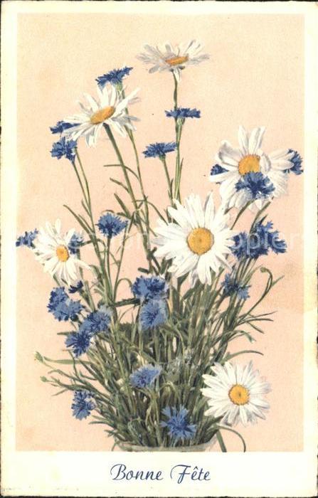 Blumen Margeriten Kornblumen