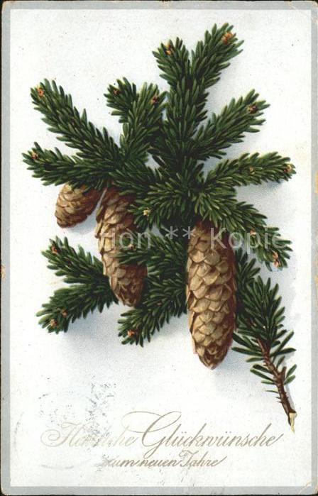 Tannenzapfen Neujahr Litho