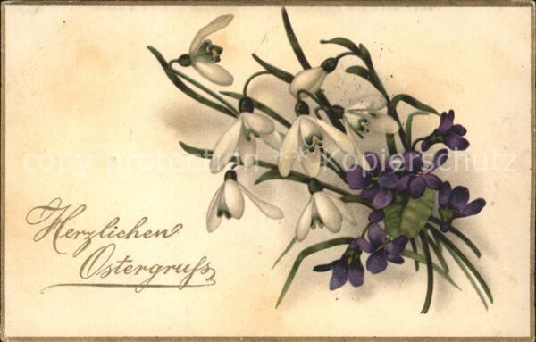 Ostern Easter Paques Veilchen Schneeglöckchen Litho