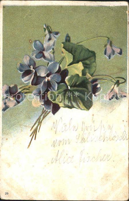 Blumen Veilchen Litho Werbung Wernle's Putzpul