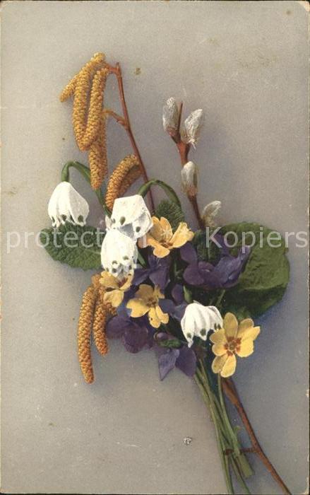 Blumen Märzenbecher Veilchen Schlüsselblumen W