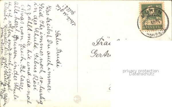 Rosen – Bild 2
