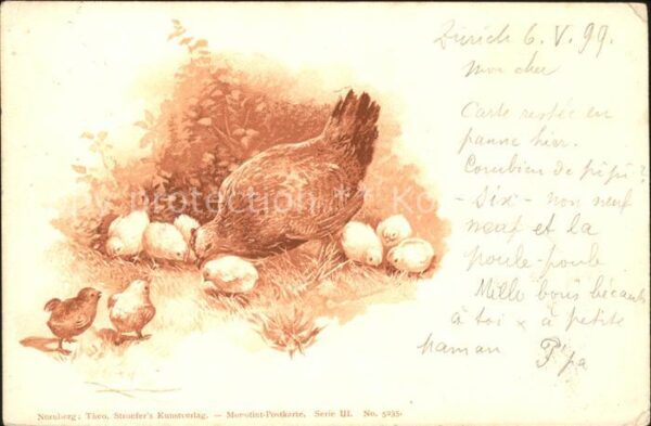 Gefluegel Huhn Küken Litho