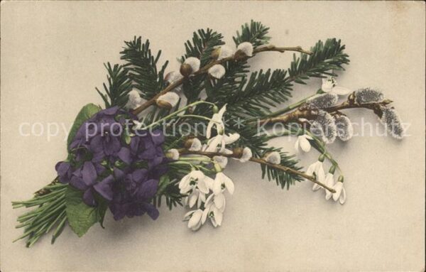 Blumen Veilchen Schneeglöckchen Weidenkätzchen