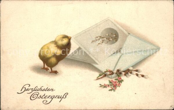 Ostern Easter Paques Küken Brief Weidenkätzchen Litho