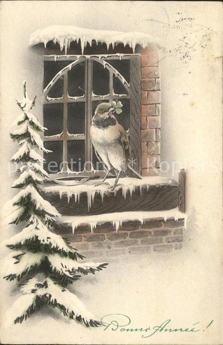 Neujahr Vogel Kleeblatt