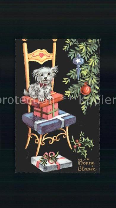 Hunde White Terrier Neujahr Geschenke Stuhl