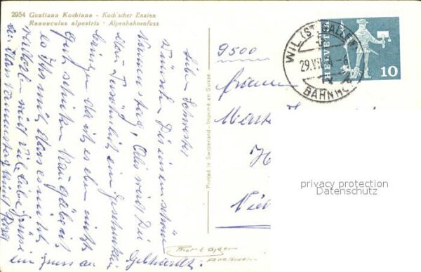 Namenstag Namenskarte Enzian Alpen-Hahnenfuss Vase – Bild 2