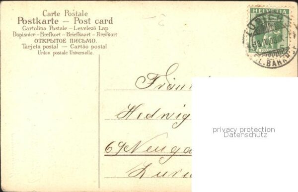 Konfirmation Kinder Schaf Weidenkätzchen Kreuz Marge – Bild 2