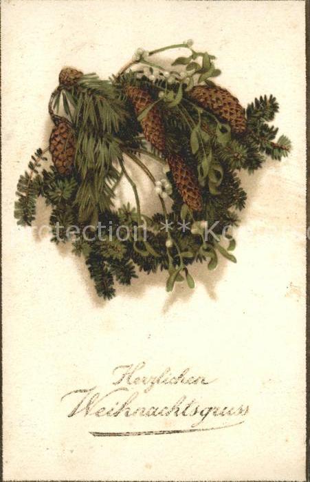Tannenzapfen Mistel Weihnachten Litho